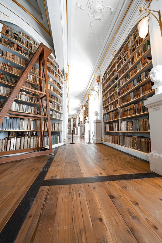 Long corridor with high bookshelves and wooden beams, creating a historical atmosphere, Weimar, Germany, Europe