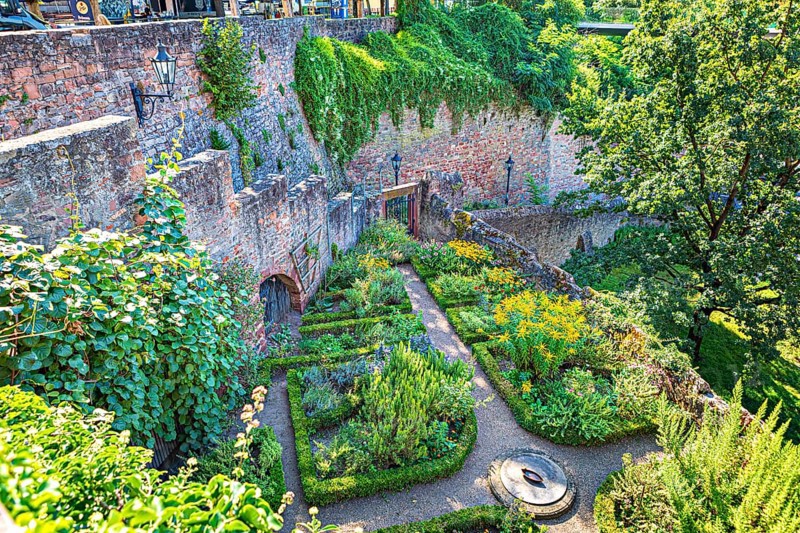 Herb garden at Johannisburg Castle in Aschaffenburg, Bavaria, Germany, Europe