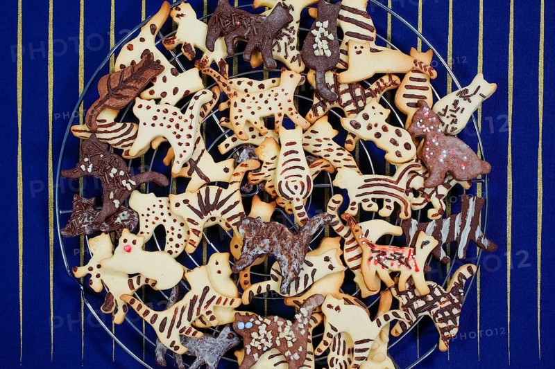 Swabian cuisine, Swabian Christmas biscuits, cookie cutters, shortbread biscuits, cat figures, painted with chocolate, typical Swabian, baking, Christmas bakery, sweet biscuits, Gutsle, Bredle, baked goods, from the oven, cooling rack, cake rack, traditional cuisine, food photography, studio, Germany, Europe