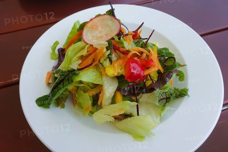 Swabian cuisine, small salad plate, mixed salad arranged on a plate, sorrel, iceberg lettuce, radishes, peppers, vegetarian, Restaurant Königliche Post, restaurant, food photography, old camp, former military area, biosphere area, Münsingen, Swabian Alb, Baden-Württemberg, Germany, Europe