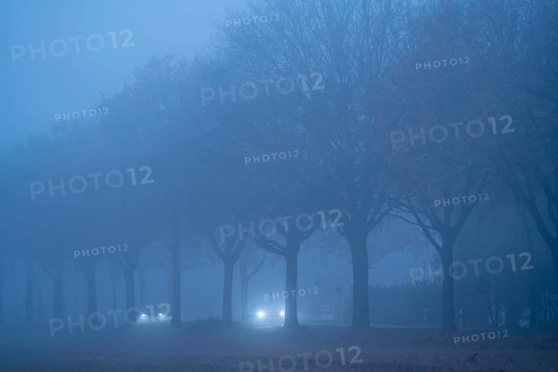 Country road B 57 near Erkelenz, autumn, fog, rainy weather, tree-lined avenue, wet road, North Rhine-Westphalia, Germany, Europe