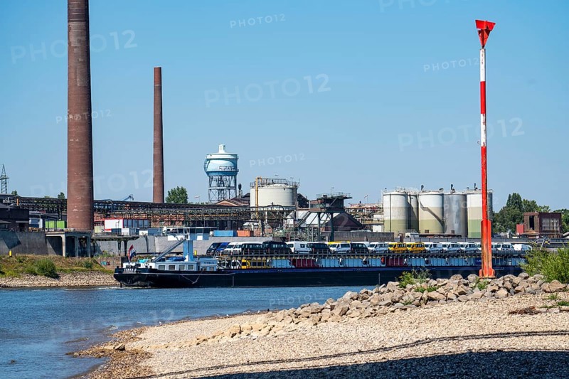 Rhine at Duisburg, extremely low water, Rhine level at 168 cm, falling, after the long drought the right bank of the Rhine, at Duisburg-Neuenkamp, dry, in the background the Venator chemical plant in Homberg, car transporter Terra 2, North Rhine-Westphalia, Germany, Europe