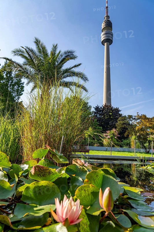 Westfalenpark, with 70 hectares, one of the largest inner-city parks in Europe, water plant basin, Florianturm, 219 metre high viewing and television tower, Dortmund North Rhine-Westphalia, Germany, Europe