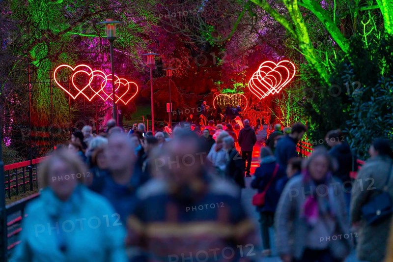 Parkleuchten, event in winter, in the Grugapark in Essen, many different light installations, across the park, attract many thousands of visitors, North Rhine-Westphalia, Germany, Europe