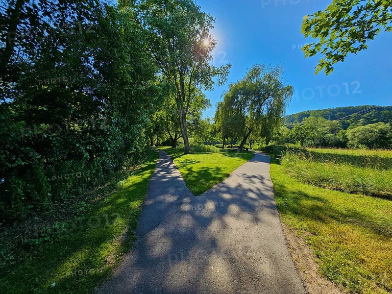 Fork in the road surrounded by meadow and trees under a clear blue sky, summer, Bürgstadt, Miltenberg, Spessart, Bavaria, Germany, Europe