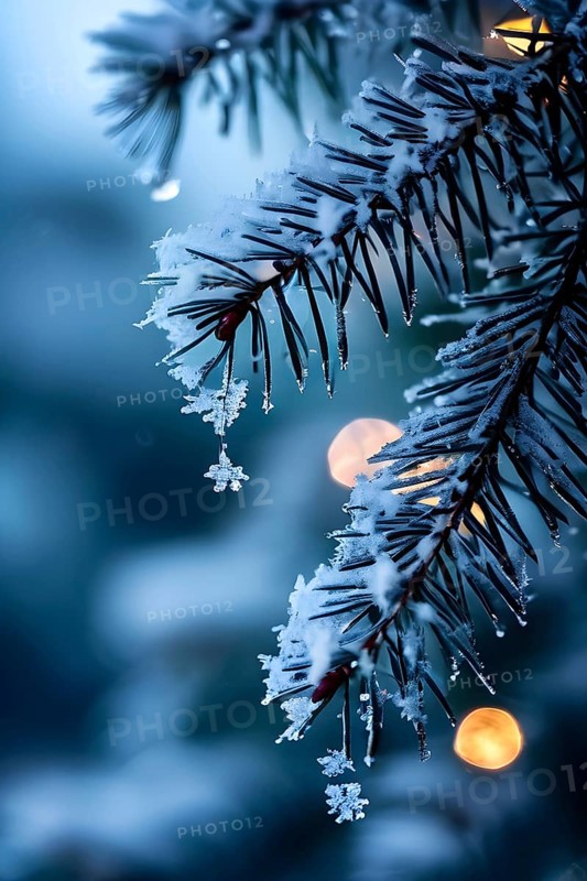Detailed shot of frosted pine branches with twinkling fairy lights and icicles hanging, creating a sparkling wintery effect, AI generated