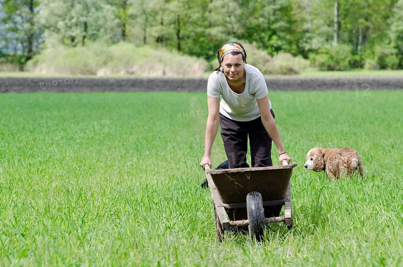 Woman with a Wheelbarrow on the Green Field with Grass and a Dog