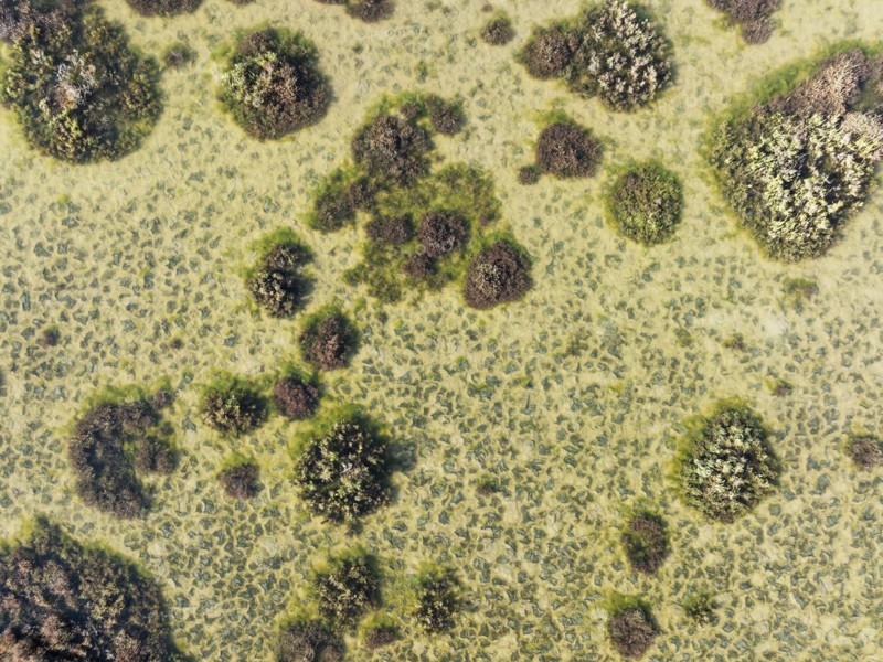 Marshland at low tide. Nature Reserve La Breña y Marismas del Barbate. Aerial view. Drone shot. Cádiz province, Andalusia, Spain, Europe