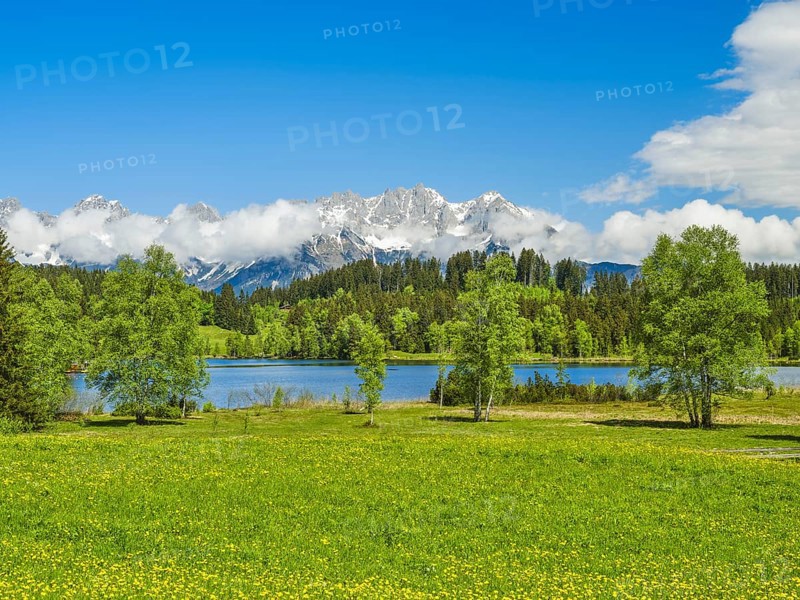 Wilder Kaiser with Schwarzsee, Moorsee, trees, blue sky Kitzbühel, Tyrol, Austria, Europe