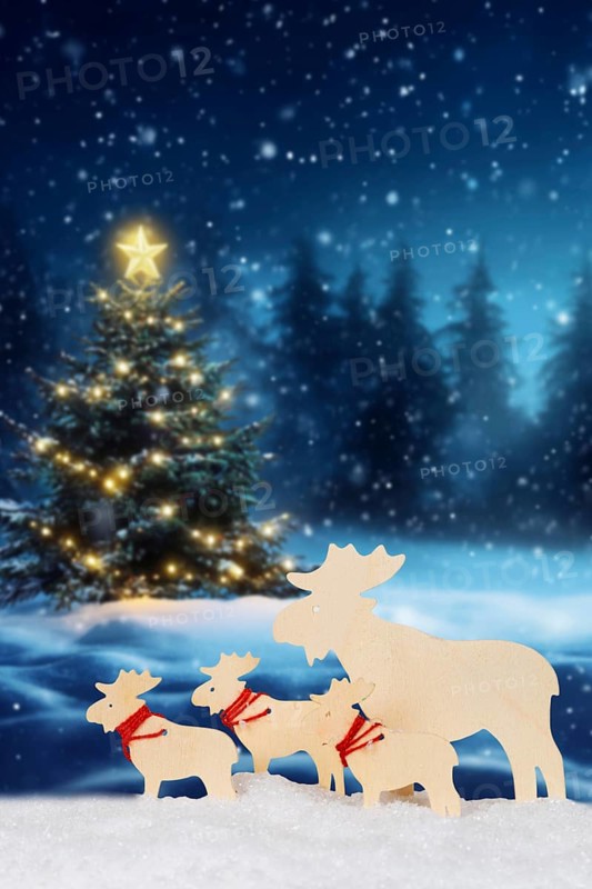 Christmas card for Christmas Card with reindeer moose and text free space Copyspace decoration and Christmas tree in Stuttgart, Germany, Europe