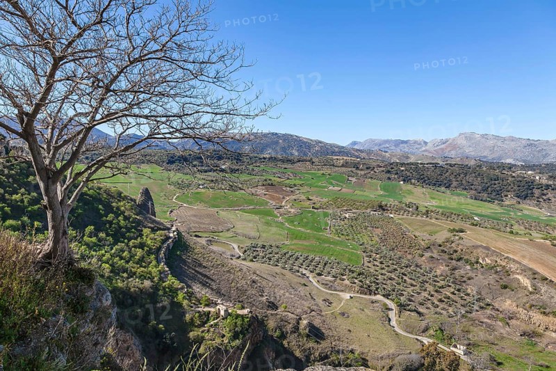 Serranía de Ronda, Ronda, Andalusia, Spain, Europe