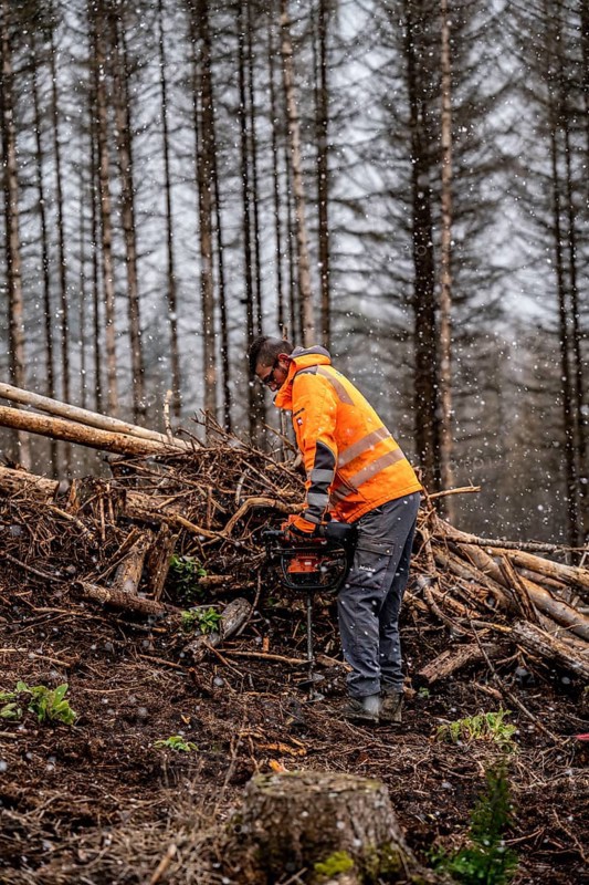 Reforestation in the Arnsberg Forest near Warstein-Sichtigvor, Soest district, forestry workers drill holes in the forest floor to plant young deciduous trees on the site of a spruce forest that had died and been felled due to heavy bark beetle infestation, North Rhine-Westphalia, Germany, Europe