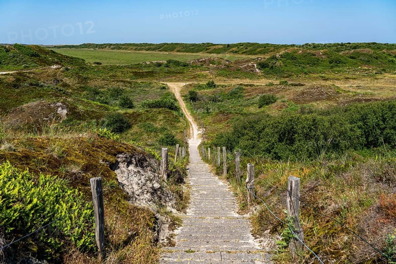 North Sea island Langeoog, early summer, dune landscape in the centre of the island, view from the Melkhörndüne, Lower Saxony, Germany, Europe