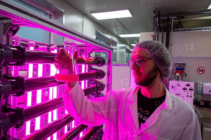 PUEVIT GmbH produces the most efficient photobioreactors for the cultivation of microalgae. The aim is to revolutionise the supply of raw materials through microalgae production. Innovative technological solutions have been developed for the growth and harvesting of spirulina, chlorella and other microalgae, for example, which enable unique efficiency, unprecedented simplicity and maximum stability in what is probably the most compact tube system on the market. Raw, unprocessed spirulina is produced as a fresh, regional food under the ALGENWERK brand. The algae grow in our own facilities and are harvested and freshly packaged directly without any further processing. Leander Seibel in red algae production, commissioning of full production at the Puevit algae plant, Dresden, Saxony, Germany, Europe