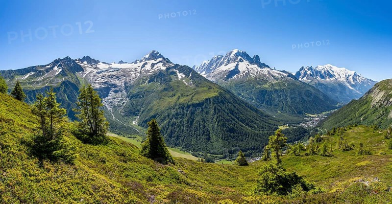 Mountain panorama with glaciated mountain peaks, Aiguille de Chardonnet with Glacier du Tour, Aiguille Verte with Aiguille du Midi and Mont Blanc, hike to Aiguillette des Posettes, Chamonix, Haute-Savoie, France, Europe