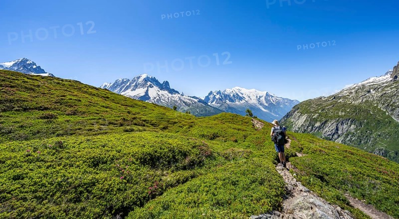 Mountaineer on hiking trail, mountain panorama with glaciated mountain peaks, Aiguille Verte with Aiguille du Midi and Mont Blanc, hike to Aiguillette des Posettes, Chamonix, Haute-Savoie, France, Europe