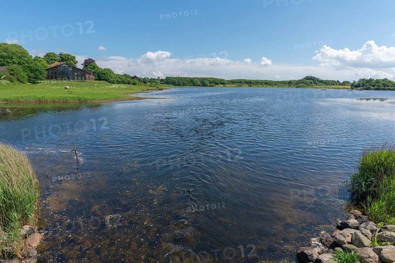 Small Noor in the nature reserve Holnis peninsula, NSG, NABU info house, inland lake with connection to the fjord, reed shore, blue sky, white clouds, Glücksburg, Schleswig-Holstein, Germany, Europe