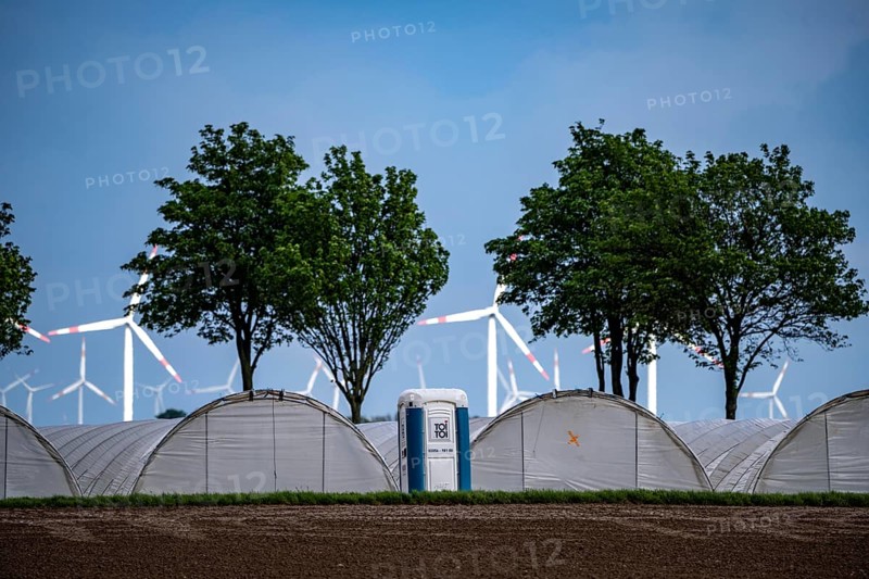 Agriculture, large areas with foil tunnel, for growing strawberries, south of Lövenich, belongs to Erkelenz, in the district of Heinsberg, wind farm, lignite-fired power station, mobile toilet, Neurath, North Rhine-Westphalia, Germany, Europe