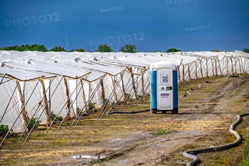 Agriculture, large areas with foil tunnel, for the cultivation of strawberries, south of Lövenich, belongs to Erkelenz, in the district of Heinsberg, mobile loo for field workers, North Rhine-Westphalia, Germany, Europe