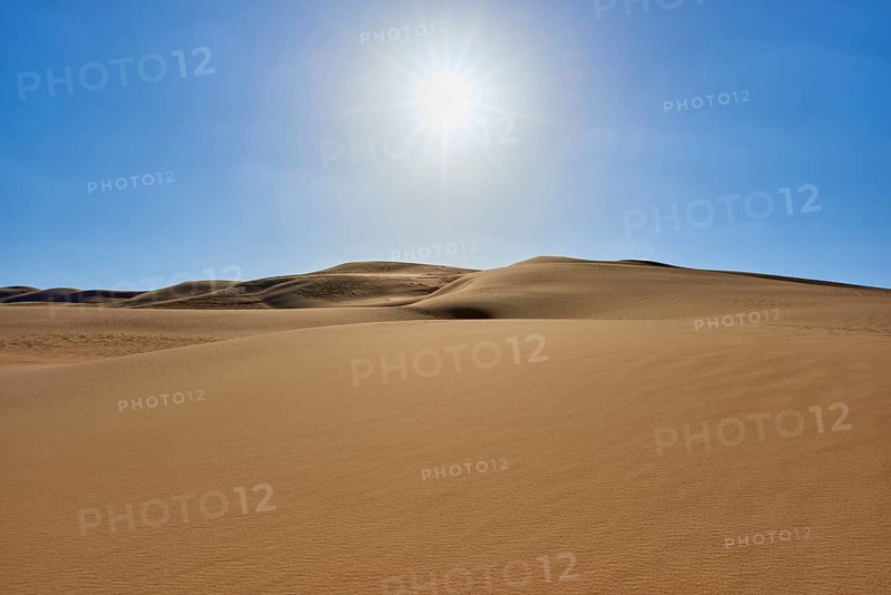 Sunny desert landscape with sand dunes under a clear blue sky, Matruh, Great Sand Sea, Libyan Desert, Sahara, Egypt, North Africa, Africa
