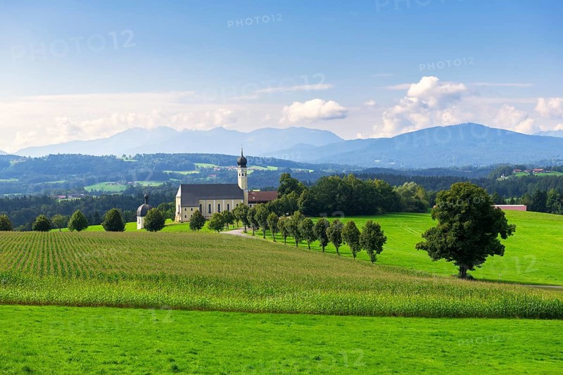 Pilgrimage church of St Marinus and Anian in Wilparting, cornfield, avenue, municipality of Irschenberg, Oberland, Upper Bavaria, Bavaria, Germany, Europe