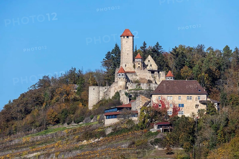 Hornberg Castle, castle of the knight Götz von Berlichingen. Landmark of Neckarzimmern and one of the largest and most important castles in the Neckar valley. Neckarzimmern, Baden-Württemberg, Germany, Europe