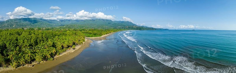 Beach and rainforest, Marino Ballena National Park, Osa National Park, dream beach and sea of the South Pacific, Puntarenas Province, Osa, Costa Rica, Central America