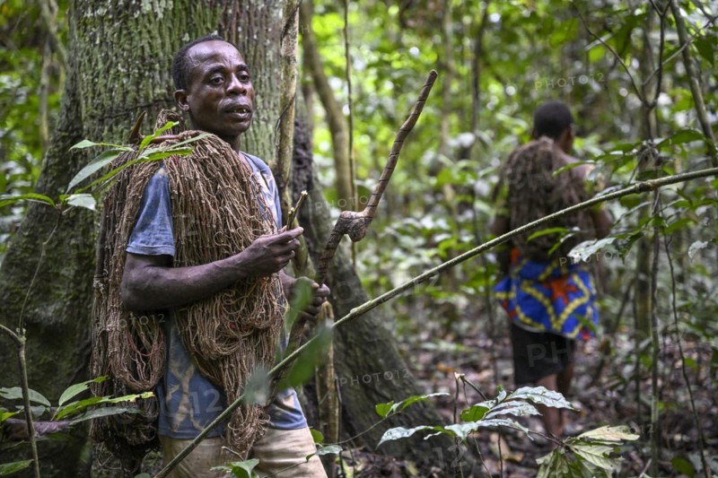 Pygmy of the Baka or BaAka people with his hunting net, Dzanga-Sangha Special Dense Forest Reserve, Sangha-Mbaéré Prefecture, Central African Republic, Africa