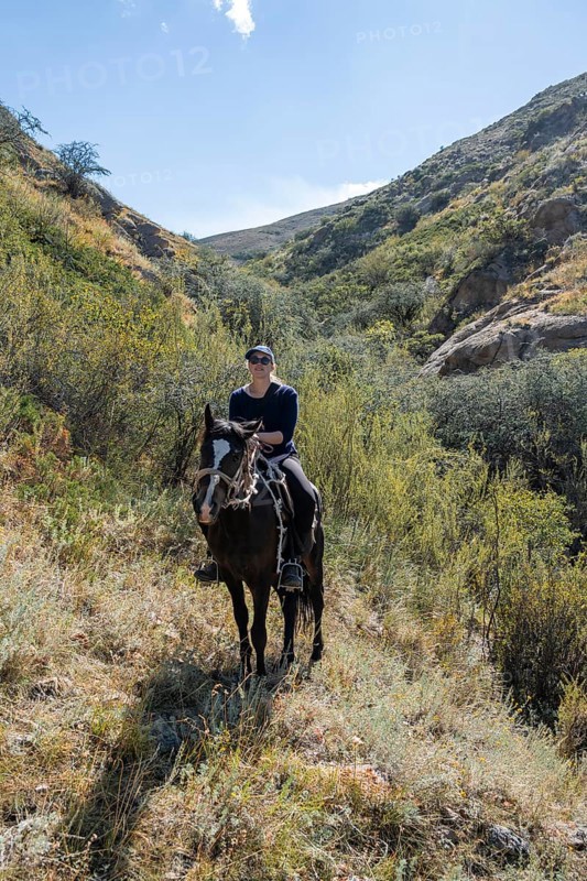 Traditional Kyrgyz eagle hunter with eagle in the mountains, hunting on horseback, near Kysyl-Suu, Kyrgyzstan, Asia