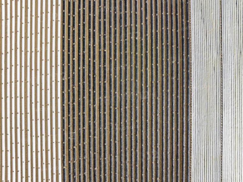 Aerial photograph, top-down view of an asparagus field covered with plastic film, in the Moosfeld vegetable growing area near Radolfzell, district of Constance, Baden-Württemberg, Germany, Europe