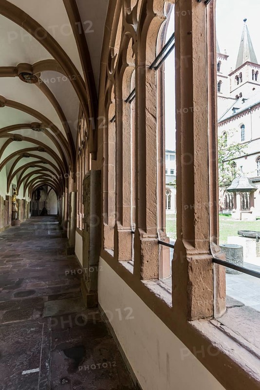 St Kilian's Cathedral, St Kilian's Cathedral, Würzburg, Lower Franconia, Franconia, Bavaria, Germany, Europe