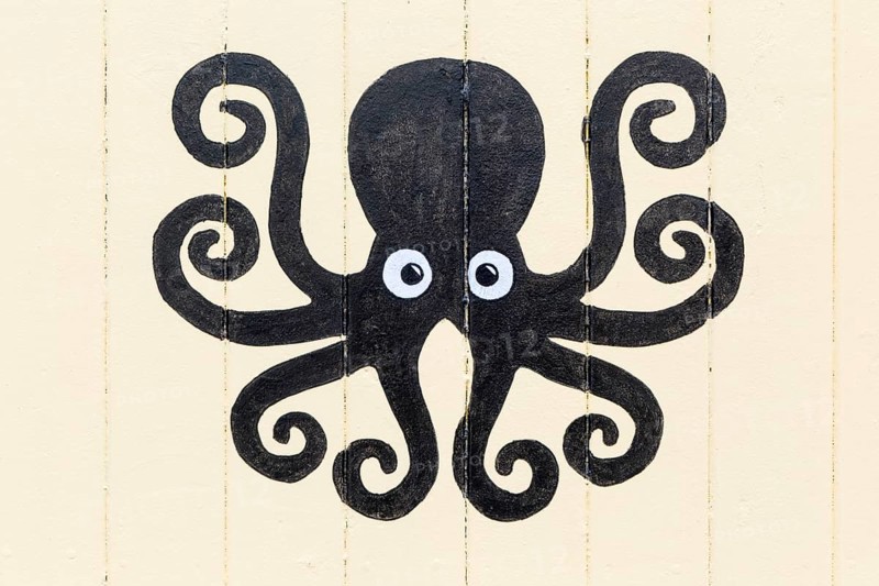 Octopus picture painted on side of wooden seaside beach hut, Felixstowe, Suffolk, England, UK