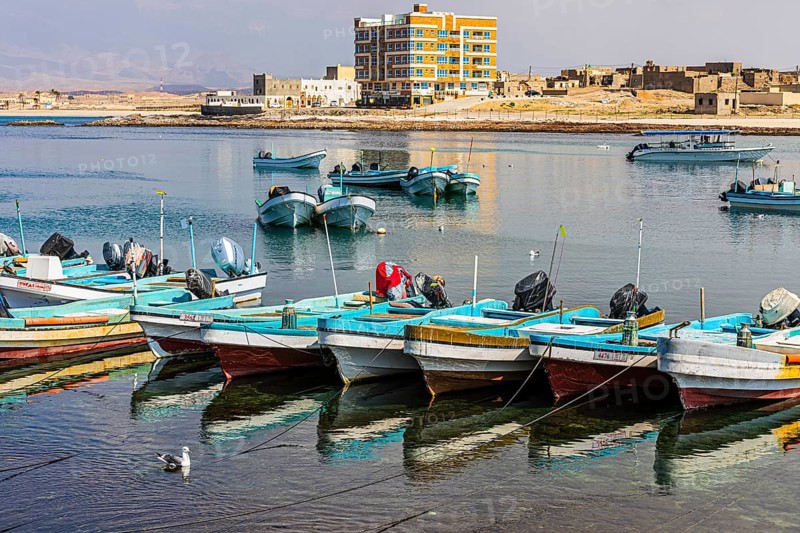 Fishing boats anchored in the harbour of Mirbat, Dhofar Province, Arabian Peninsula, Sultanate of Oman