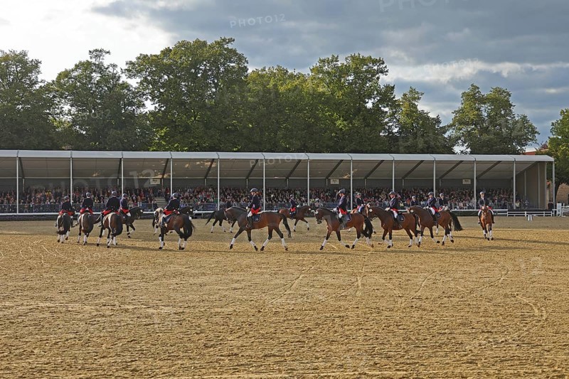 Warendorf State Stud, Stallion Parade, Jacobowski Quadrille
