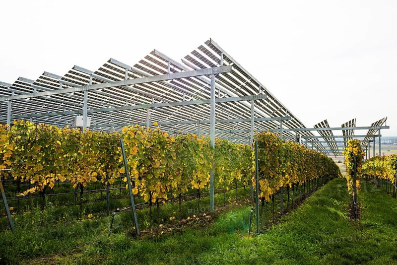 Solar plant in the vineyard, solar cells, solar modules, solar power plant, photovoltaic plant, Blankenhornsberg, near Ihringen, Kaiserstuhl, Baden-Württemberg, Germany, Europe