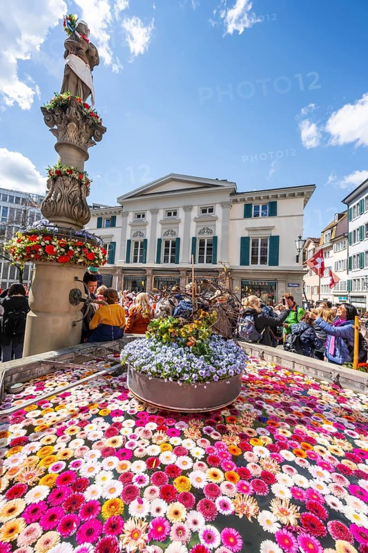 Fountain decorated with flowers, Münzplatz, Zurich Old Town, Sechseläuten or Sächsilüüte, Zurich Spring Festival, Zurich, Switzerland, Europe
