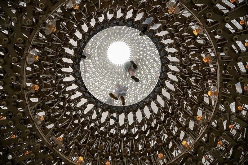 Visitor on glass pane from below, The Hive, artwork by Wolfgang Buttress, Royal Botanic Gardens (Kew Gardens), UNESCO World Heritage Site, Kew, Greater London, England, Great Britain