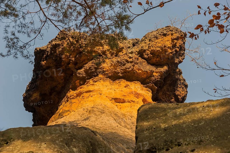 Close-up of a bright orange rock formation with trees and blue sky, Kokorinske poklicky rock formation, Kokorínský dul nature reserve, sandstone formation, Daubian Switzerland, Okres Melník, Melnik district, Central Bohemia, Czech Republic, Europe