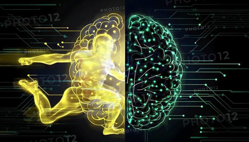 Abstract brain split into two halves, one side athletic motion, the other side neural network, vibrant colors, symbol for artificial intelligence in sport, AI generated