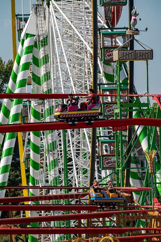 The Rhine Fair in Düsseldorf, in the Rhine meadows in the Oberkassel district, on the Rhine, Wild Mouse ride, North Rhine-Westphalia, Germany, Europe