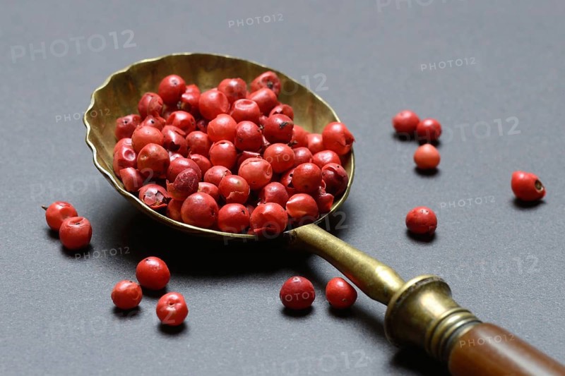 Pink Pepper berries, Red Pepper in spoon, Schinus berries