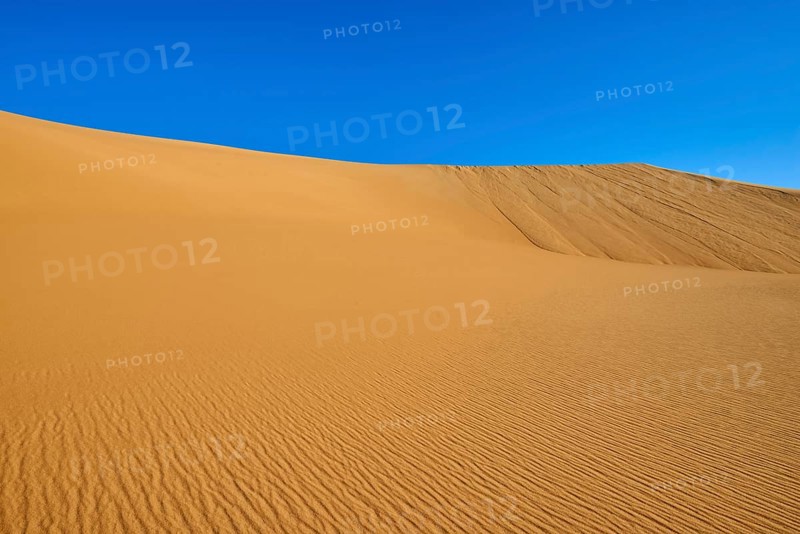 Wide sand dunes under a blue sky in the desert, Matruh, Great Sand Sea, Libyan Desert, Sahara, Egypt, North Africa, Africa