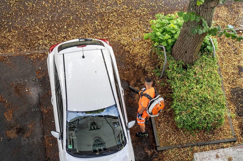 Street cleaning, an employee of the municipal city cleaning service, cleans pavements and parking bays, with a leaf blower, in summer, from tree blossoms, Essen, North Rhine-Westphalia, Germany, Europe