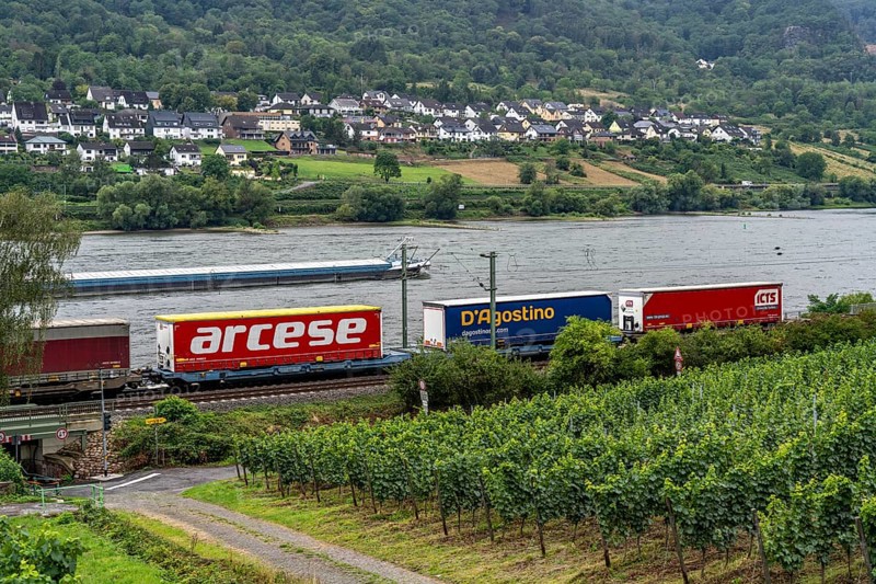 Upper Middle Rhine Valley, railway line on the right bank of the Rhine, goods train line, up to 400 freight trains run here within 24 hours, on both sides, through the Rhine Valley, directly through villages and close to buildings, vineyard, near the village of Lorch, Hesse, Germany, Europe
