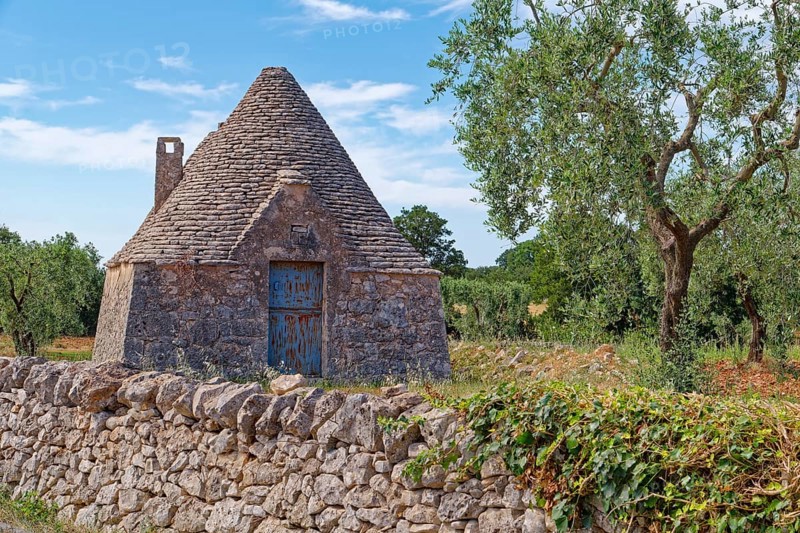 A detached trullo, round house with a stone roof, on the edge of the southern Italian town of Alberobello. Alberobello, Apulia, Southern Italy, Southern Europe