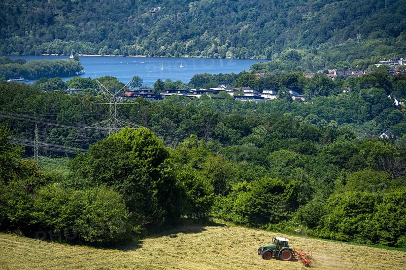 Lake Baldeney in Essen, view to the west, over the district of Kupferdreh, from Velbert, farmer turning freshly cut hay, North Rhine-Westphalia, Germany, Europe