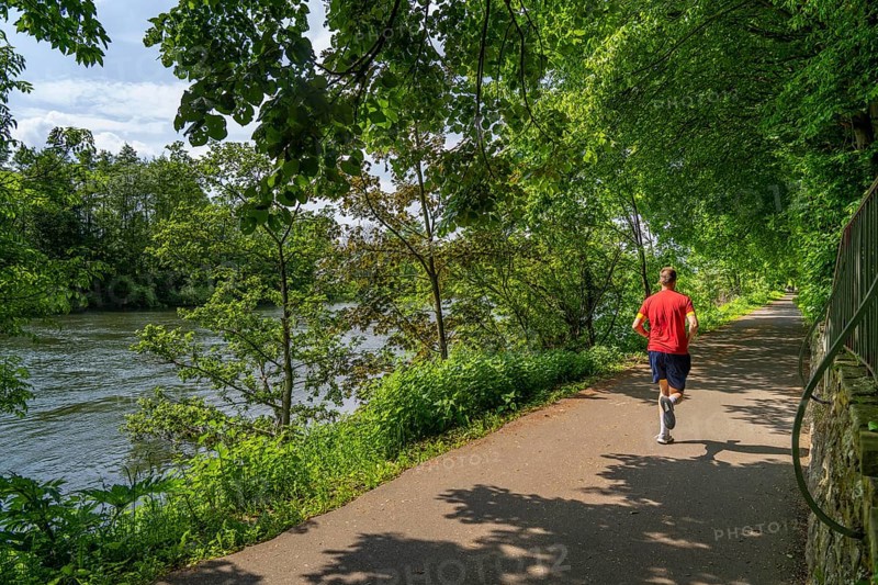 Canal path along the Ruhr near Essen-Kettwig, hiking trail, cycle path along the Ruhr, trees have formed a kind of hollow path, Essen, North Rhine-Westphalia, Germany, Europe