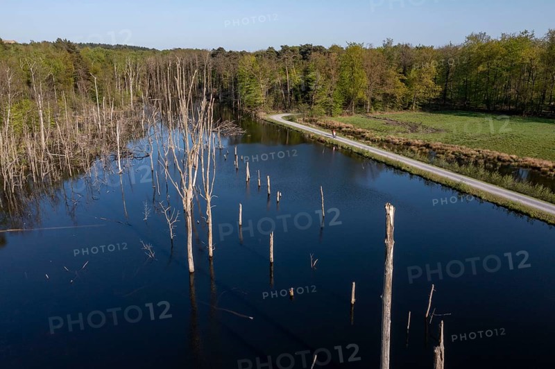 The nature reserve Kirchheller Heide, the Pfingstsee, created by subsidence caused by coal mining, near Bottrop, North Rhine-Westphalia, Germany, Europe