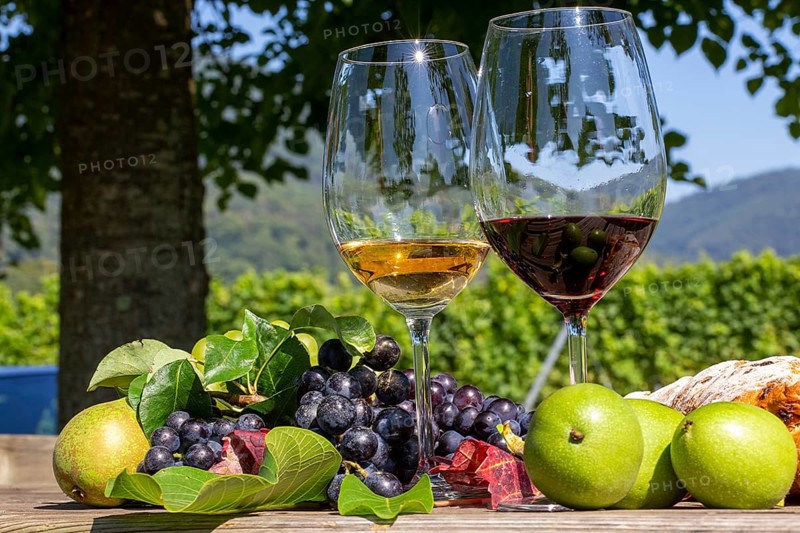 Symbolic image of the grape grape harvest: Ripe grapes decorated with wine glasses on a wooden table in the Palatinate