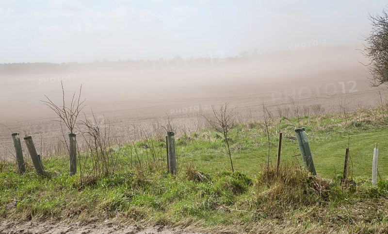 Soil erosion due to strong winds on the Suffolk Sandlings, Sutton Heath, Suffolk, England, United Kingdom, Europe